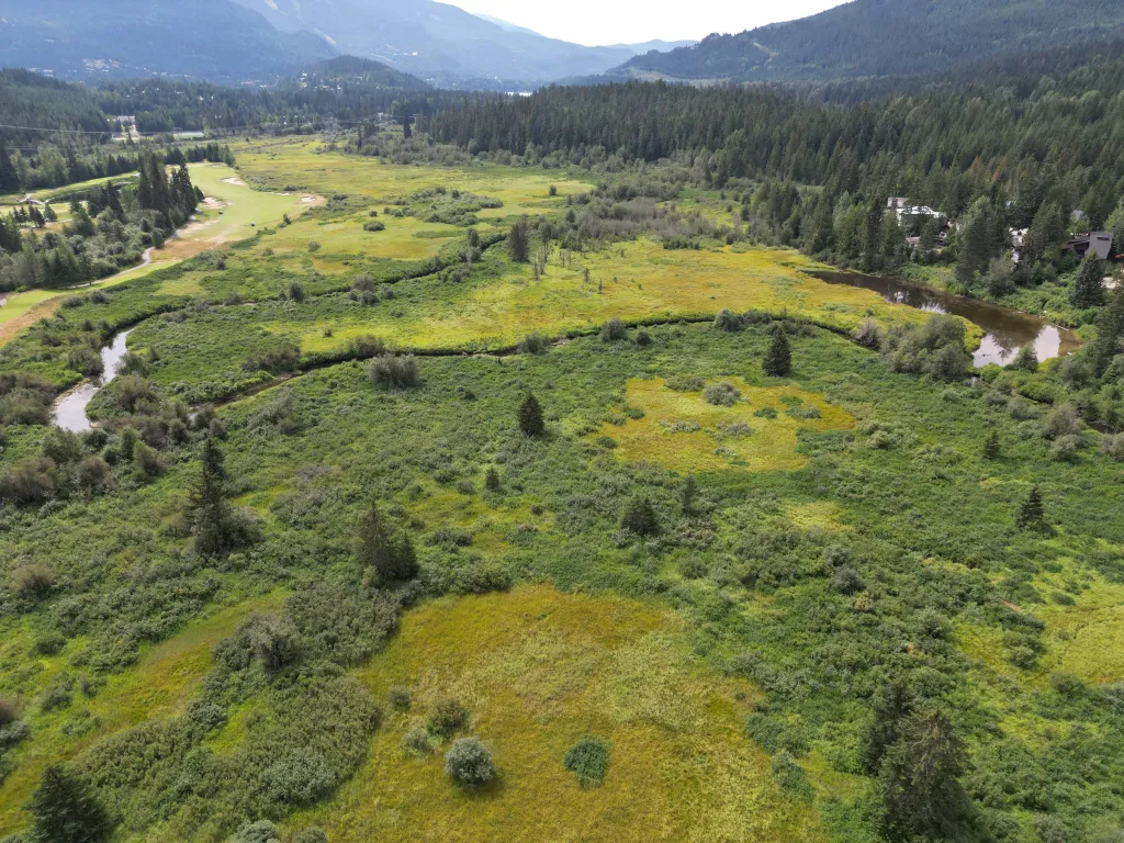 Exploring the Vital Role of Wetlands in Biodiversity and Community Well-being