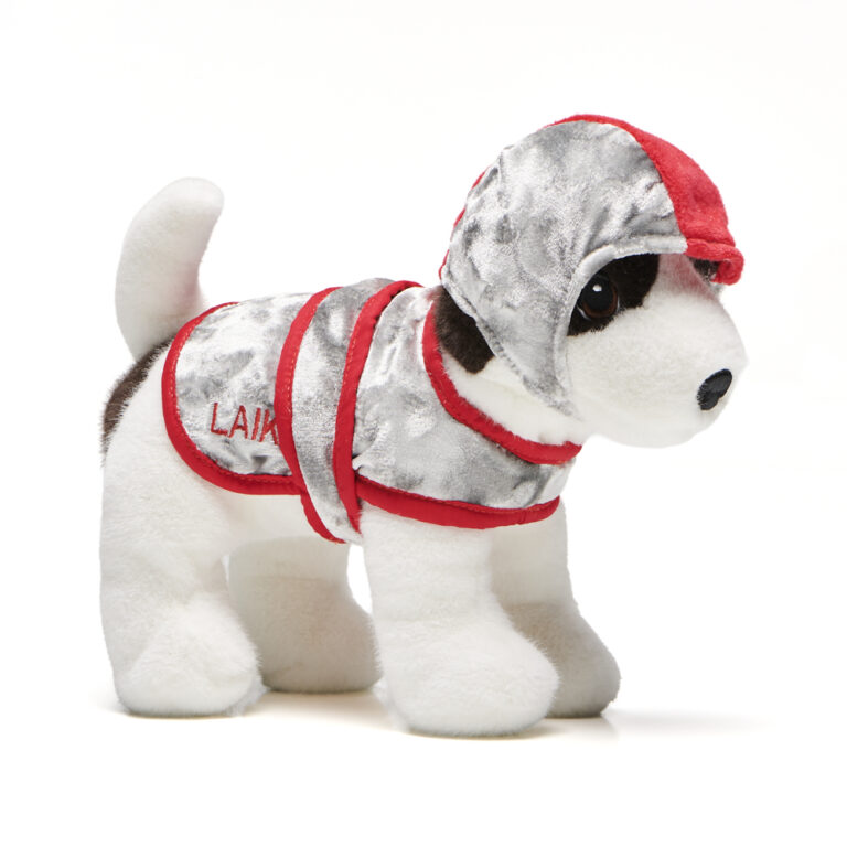 Top Science Museum Gifts for Space Enthusiasts and Curious Minds This Christmas 2025