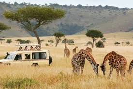 Progress Report from Tanzania’s Tourism Ministry and What It Means for Travelers