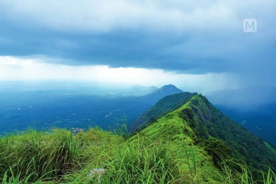 Record tourist influx in Kerala 2025: Idukki tops the list, Ernakulam and Thiruvananthapuram follow
