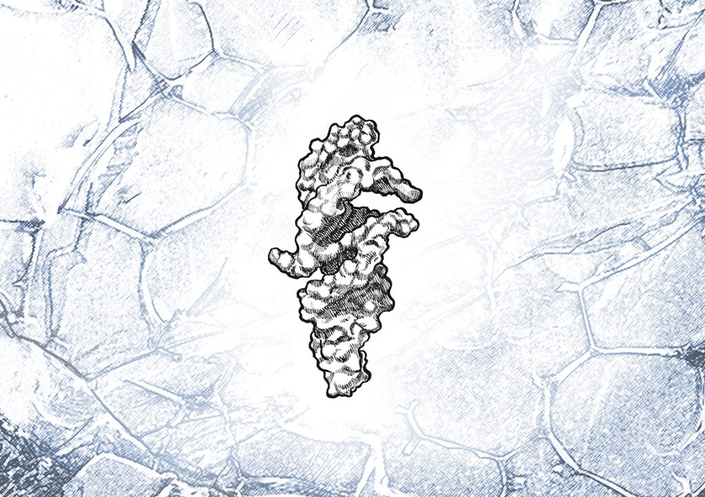 45个字母的RNA（QT45）和冷冻场物流如何重塑关于生命起源的观念
