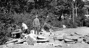 Comment le Civilian Conservation Corps a bâti les infrastructures du parc de Mt. Airy Forest et son héritage pour les visiteurs